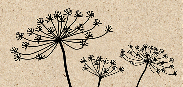 Description of image 1