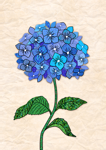 Description of image 10