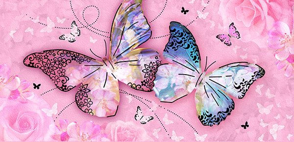 Description of image 13