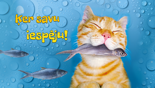 Description of image 3